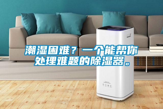 潮湿困难?一个能帮你处理难题的除湿器。