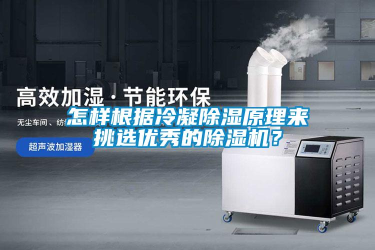 怎样根据冷凝除湿原理来挑选优秀的除湿机?