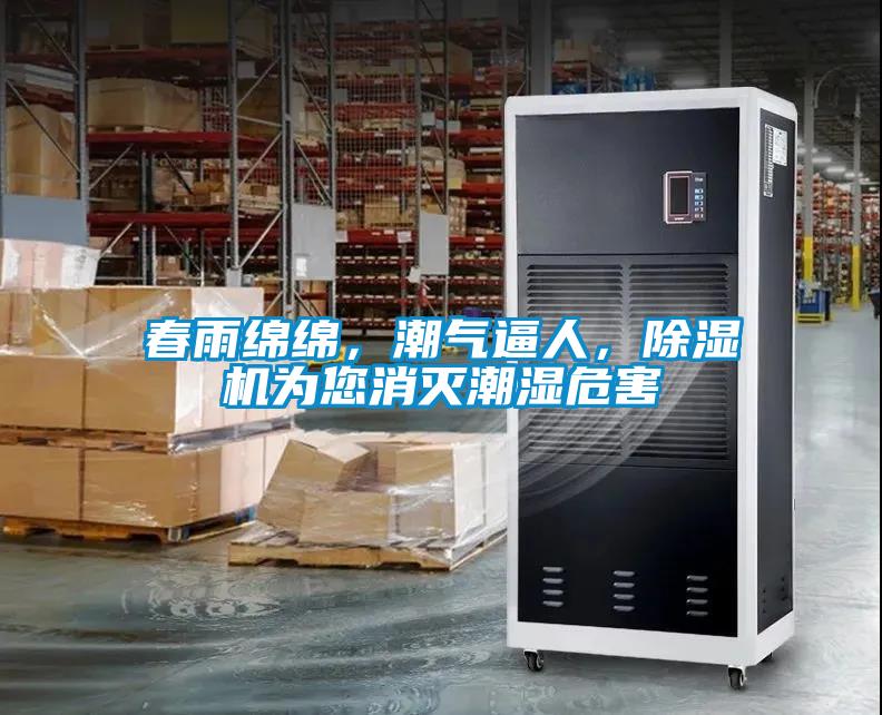 春雨绵绵,潮气逼人,除湿机为您消灭潮湿危害