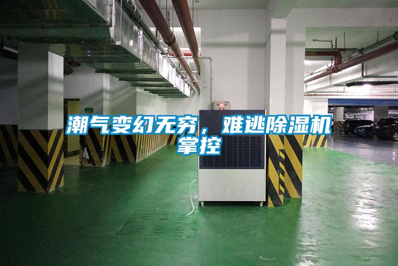 潮气变幻无穷,难逃除湿机掌控
