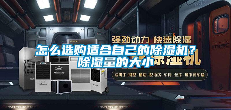 怎么选购适合自己的除湿机?除湿量的大小