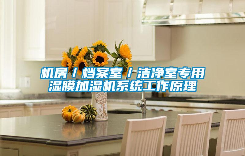 机房/档案室/洁净室专用湿膜加湿机系统工作原理