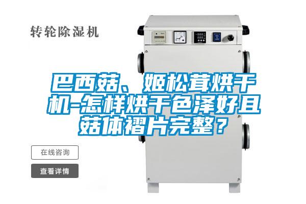 巴西菇、姬松茸烘干机-怎样烘干色泽好且菇体褶片完整?