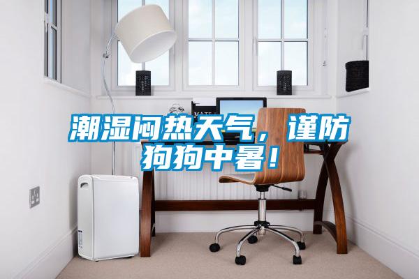 潮湿闷热天气,谨防狗狗中暑!