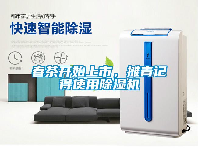 春茶开始上市,摊青记得使用除湿机