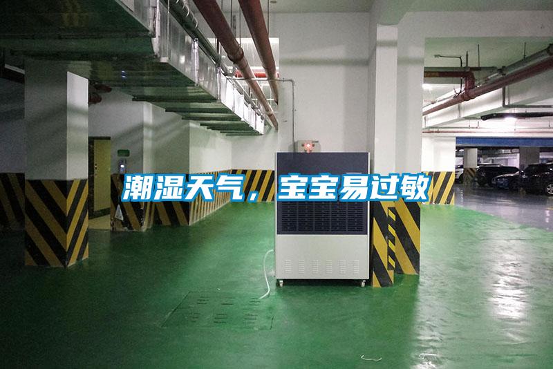 潮湿天气,宝宝易过敏