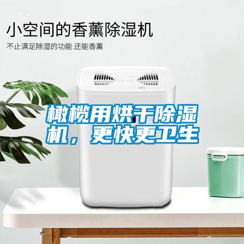 橄榄用烘干除湿机,更快更卫生