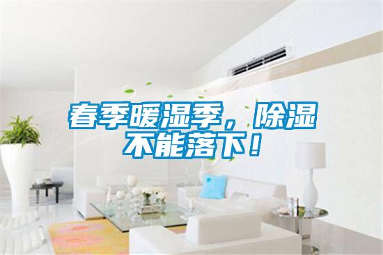 春季暖湿季,除湿不能落下!