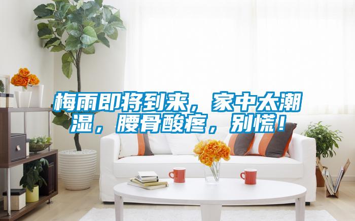 梅雨即将到来,家中太潮湿,腰骨酸疼,别慌!