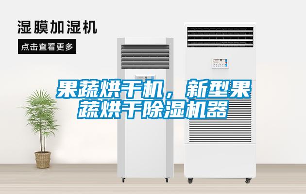 果蔬烘干机,新型果蔬烘干除湿机器