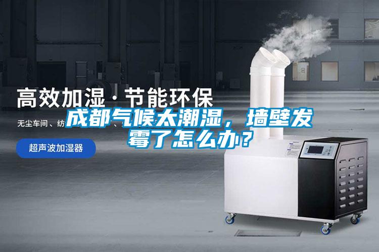 成都气候太潮湿,墙壁发霉了怎么办?