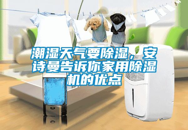 潮湿天气要除湿,安诗曼告诉你家用除湿机的优点