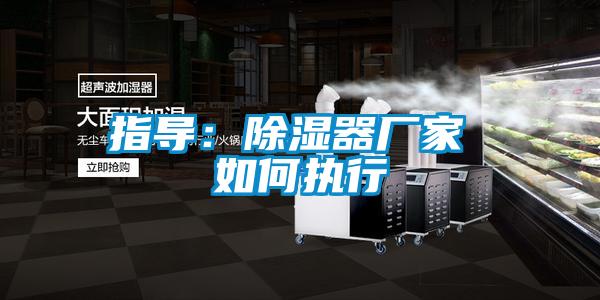 指导:除湿器厂家 如何执行
