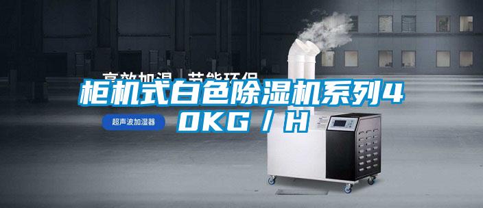 柜机式白色除湿机系列40KG/H