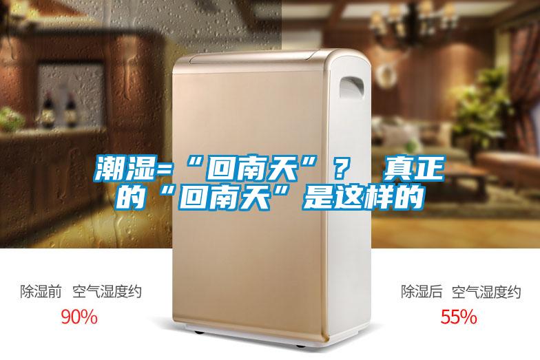 潮湿=“回南天”? 真正的“回南天”是这样的