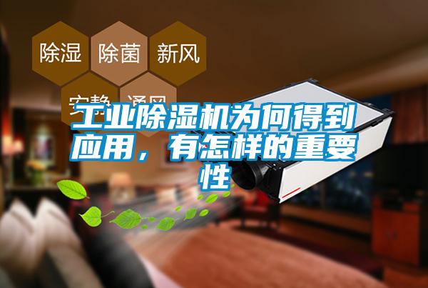 工业除湿机为何得到应用,有怎样的重要性