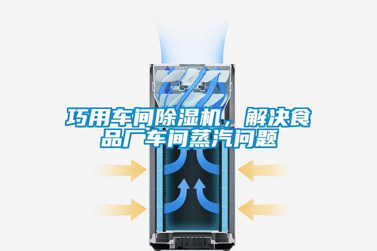 巧用车间除湿机,解决食品厂车间蒸汽问题