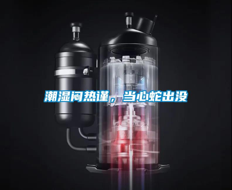 潮湿闷热谨,当心蛇出没