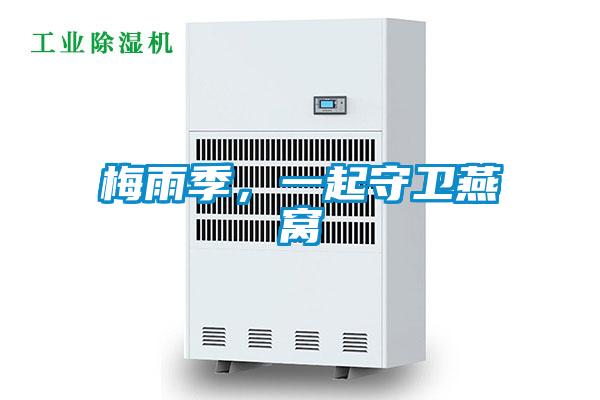 梅雨季,一起守卫燕窝