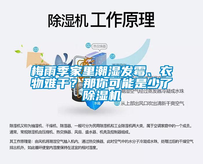 梅雨季家里潮湿发霉、衣物难干?那你可能是少了除湿机
