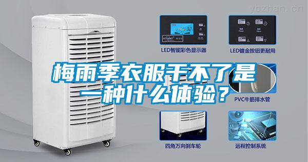 梅雨季衣服干不了是一种什么体验?