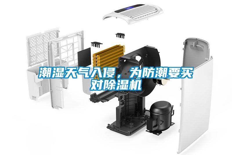 潮湿天气入侵,为防潮要买对除湿机
