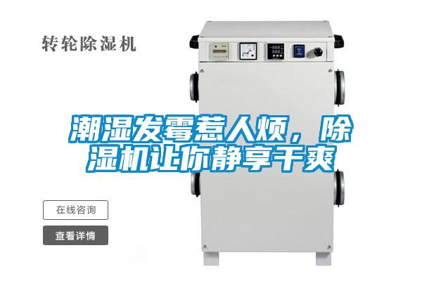 潮湿发霉惹人烦,除湿机让你静享干爽