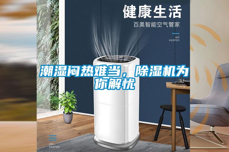 潮湿闷热难当,除湿机为你解忧