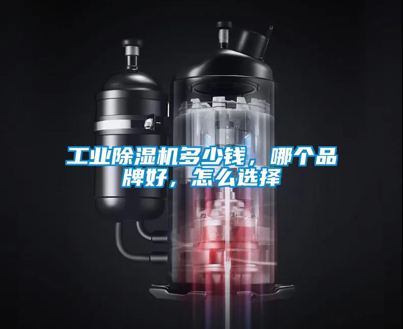 工业除湿机多少钱,哪个品牌好,怎么选择