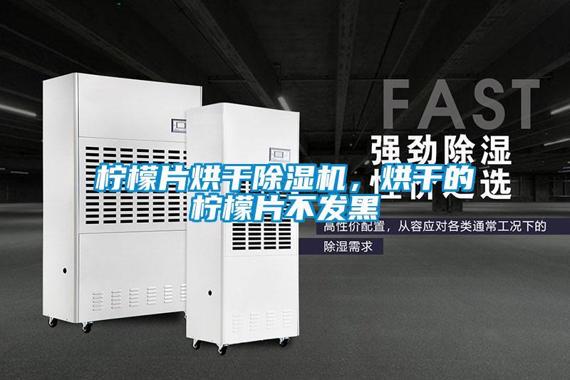 柠檬片烘干除湿机,烘干的柠檬片不发黑