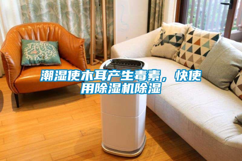 潮湿使木耳产生毒素,快使用除湿机除湿