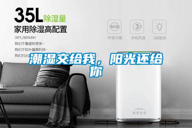 潮湿交给我,阳光还给你
