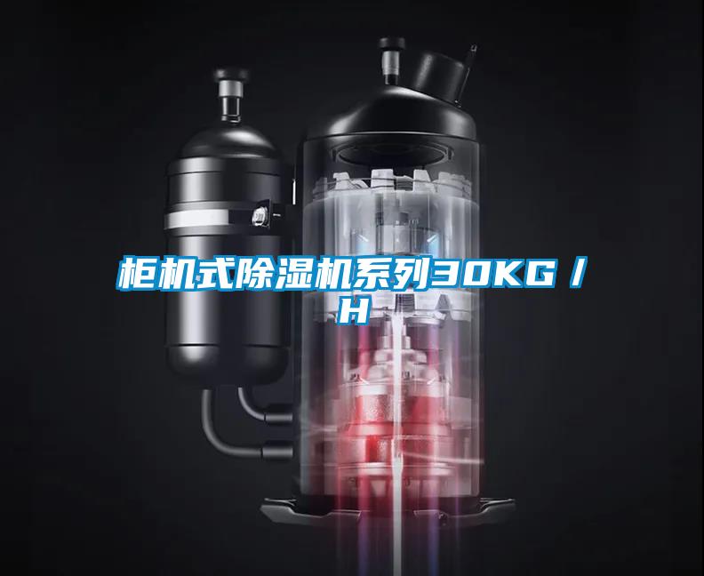 柜机式除湿机系列30KG/H