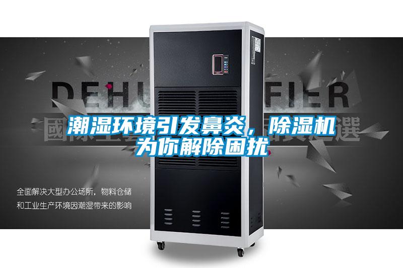 潮湿环境引发鼻炎,除湿机为你解除困扰