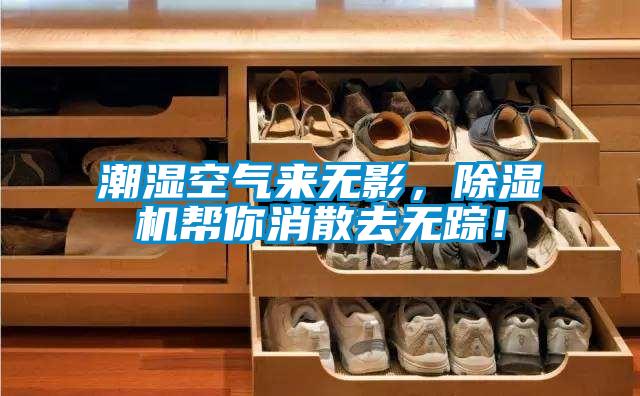 潮湿空气来无影,除湿机帮你消散去无踪!