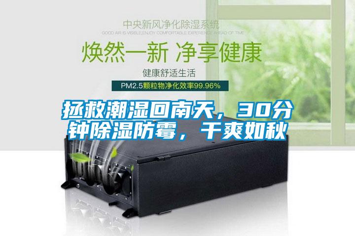 拯救潮湿回南天,30分钟除湿防霉,干爽如秋