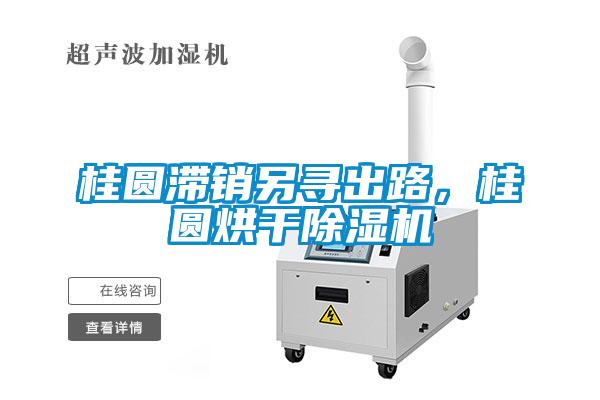 桂圆滞销另寻出路,桂圆烘干除湿机