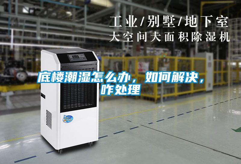底楼潮湿怎么办,如何解决,咋处理