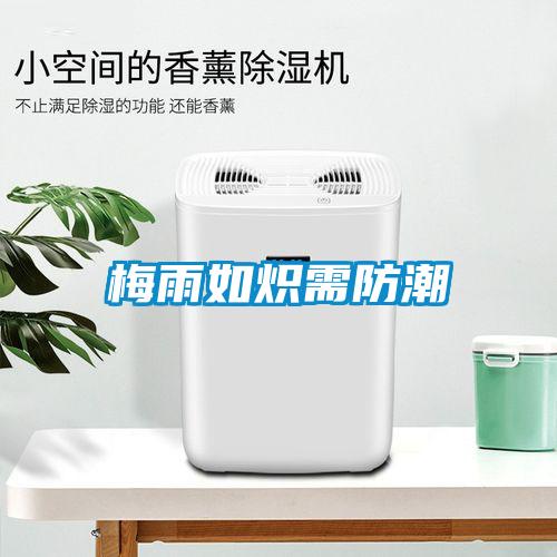 梅雨如炽需防潮