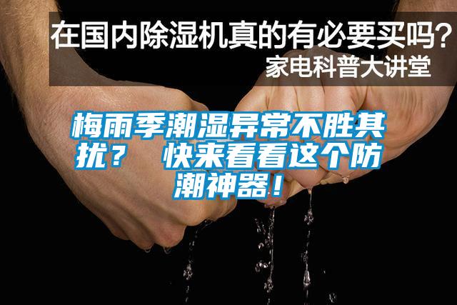 梅雨季潮湿异常不胜其扰? 快来看看这个防潮神器!