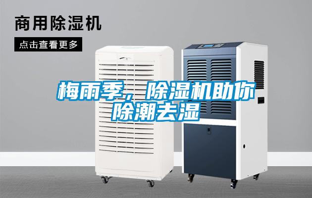 梅雨季,除湿机助你除潮去湿