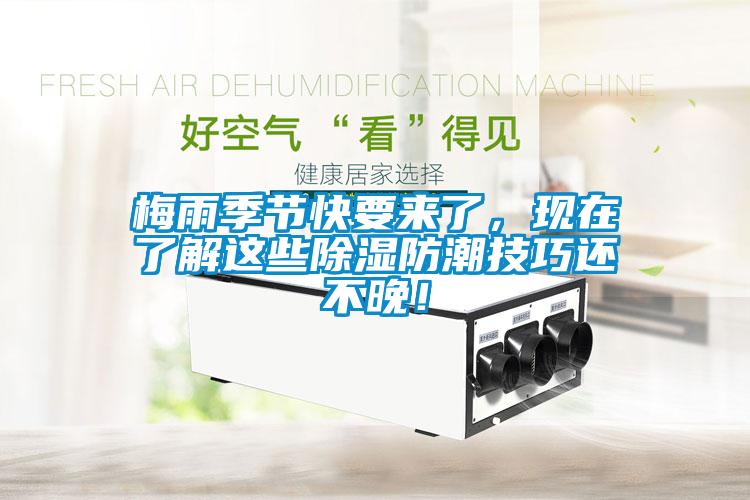 梅雨季节快要来了,现在了解这些除湿防潮技巧还不晚!