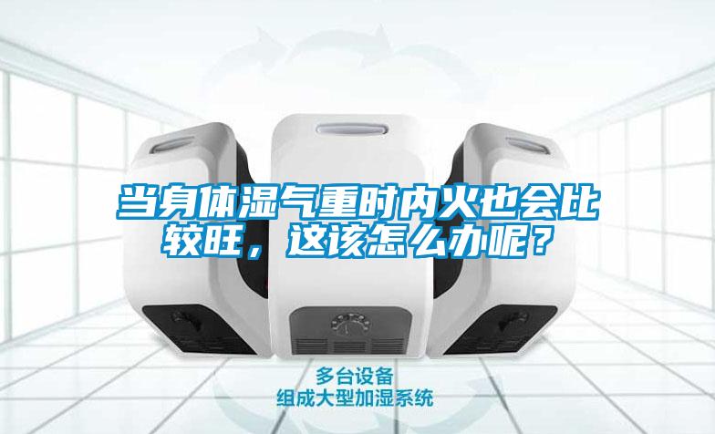 当身体湿气重时内火也会比较旺,这该怎么办呢?