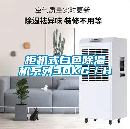 柜机式白色除湿机系列30KG/H