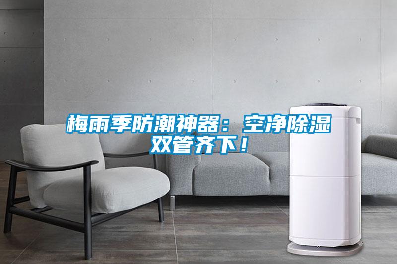 梅雨季防潮神器:空净除湿双管齐下!
