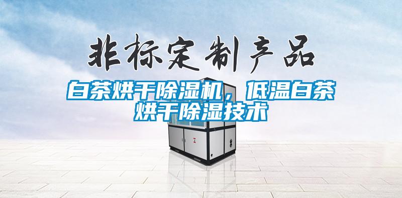 白茶烘干除湿机,低温白茶烘干除湿技术