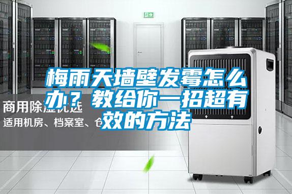 梅雨天墙壁发霉怎么办?教给你一招超有效的方法