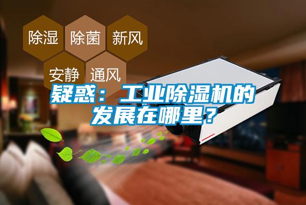 疑惑:工业除湿机的发展在哪里?
