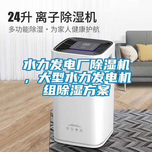 水力发电厂除湿机,大型水力发电机组除湿方案