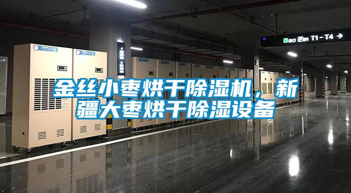 金丝小枣烘干除湿机,新疆大枣烘干除湿设备
